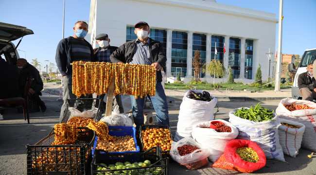 Çubuk'un dağlarında yetişen yaban meyveleri pazar tezgahlarını süslüyor