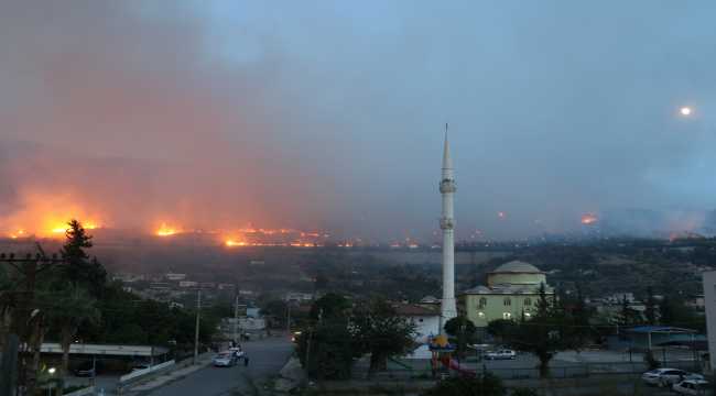 Hatay'da çıkan orman yangınına müdahale ediliyor