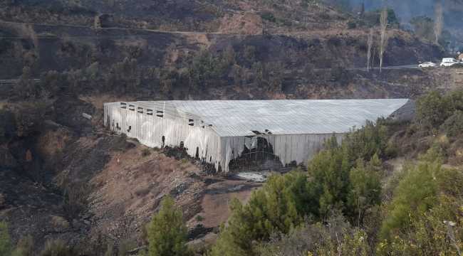 Mersin'de çıkan orman yangınına müdahale ediliyor