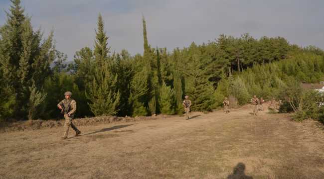 Kahramanmaraş'taki orman yangını sürüyor