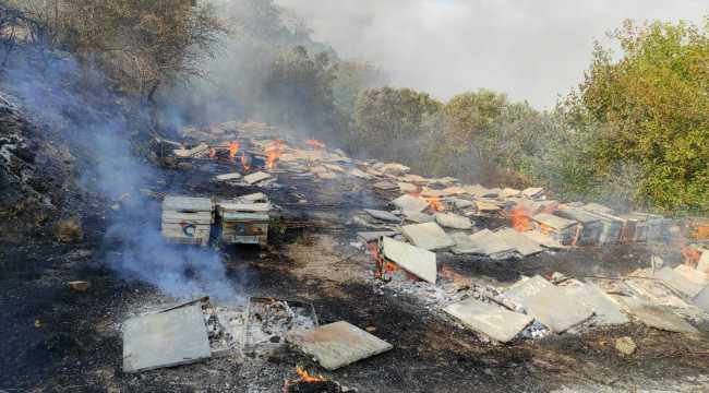 Hatay'da bahçede çıkan yangın arı kovanlarına zarar verdi 