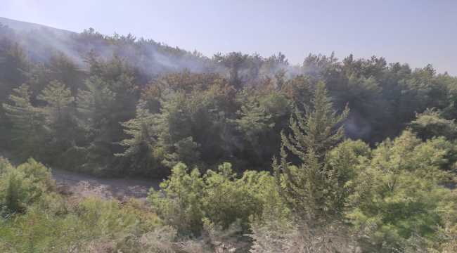 Hatay'da çıkan orman yangınına müdahale ediliyor 