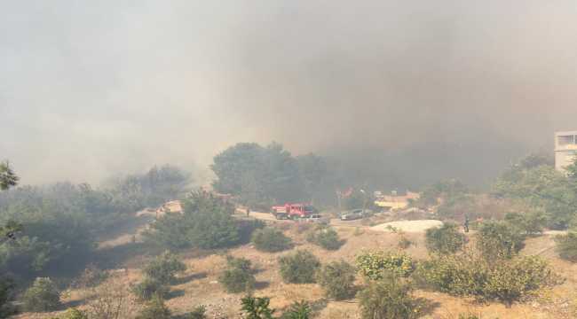 Hatay'da çıkan orman yangınına müdahale ediliyor