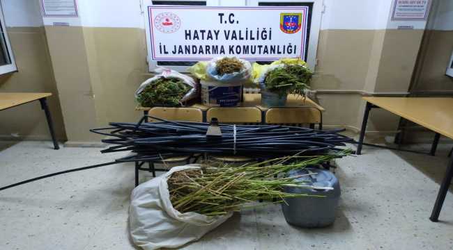 Hatay'da ormanlık alanda 9 kilo 750 gram kubar esrar ele geçirildi 