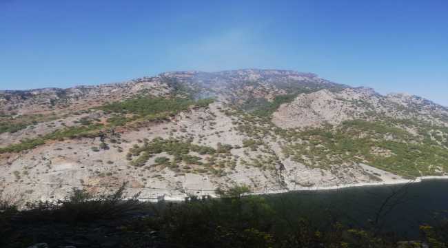 Kahramanmaraş'ta örtü yangını kontrol altına alındı 