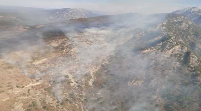 Kahramanmaraş'ta örtü yangınına müdahale ediliyor