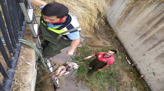 Kırıkkale'de boşanma aşamasındaki eşini bıçakla yaralayan şüpheli tutuklandı