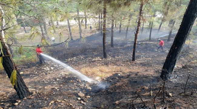 Osmaniye'de orman yangını kontrol altına alındı