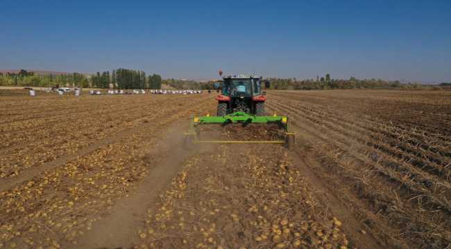 Sivas'ta 350 bin ton patates rekoltesi bekleniyor