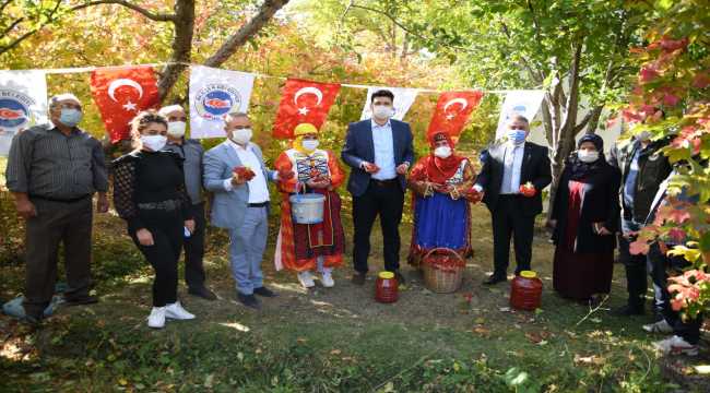 Tarım ve Orman İl Müdürü Şahin gilaburu hasadına katıldı 