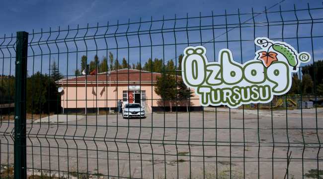 Turşu fabrikasına dönüştürülen atıl ilkokul binası kadınlara iş kapısı oldu