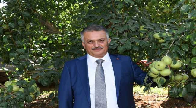 Vali Ersin Yazıcı, Karyağdı Armudu'nun hasadına katıldı