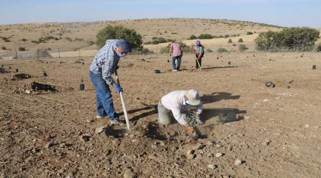 Yozgat'ın bozkırında devlet desteğiyle trüf mantarı üretilecek
