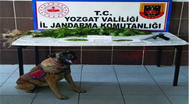 Yozgat'ta uyuşturucu operasyonu
