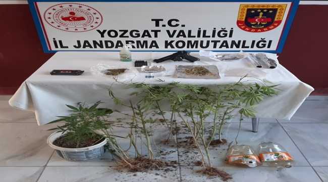 Yozgat'ta uyuşturucu operasyonu