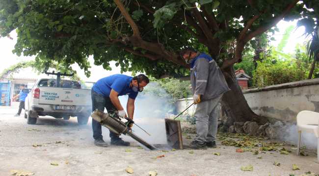 Sinek larvalarıyla mücadele devam ediyor