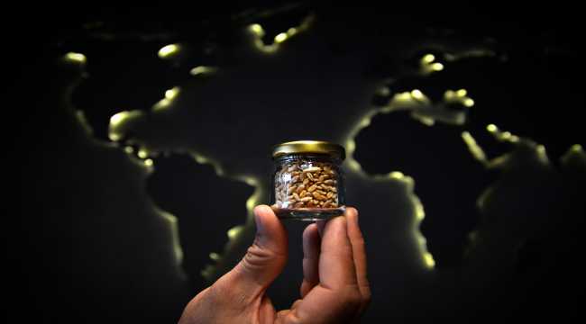 Ata tohumları tarımda dışa bağımlılığı bitirecek