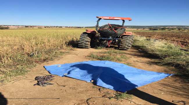 Burdur'da traktörün toplama makinesine boynunu kaptıran kadın öldü 