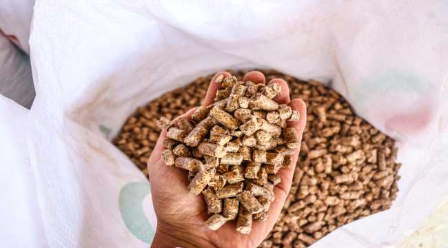 Defne dalından yakıt üreten kadın girişimci yurt dışına satış yapıyor