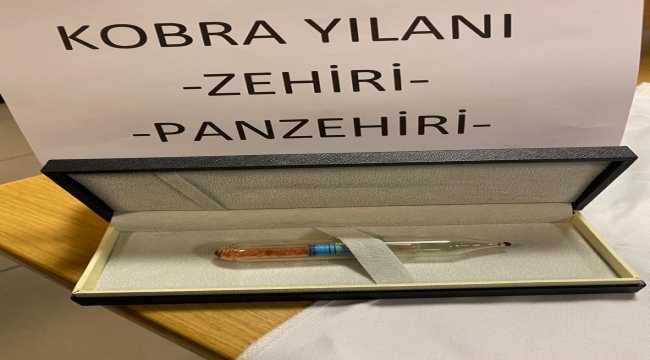 Eskişehir'deki tarihi eser operasyonunda yakalanan şüpheliler serbest bırakıldı