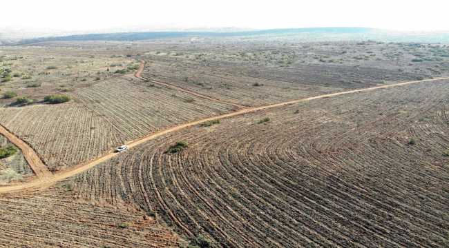 Eskişehir ve Afyonkarahisar'da 119 bin fidan toprakla buluşturulacak