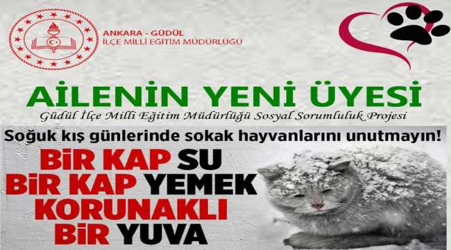 Güdül'de sokak hayvanları için 