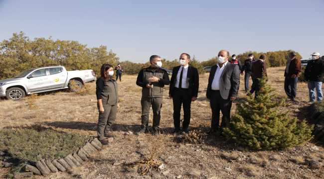 Halkapınar'da 500 fidan toprakla buluştu