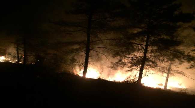 Hatay'da orman yangını çıktı 