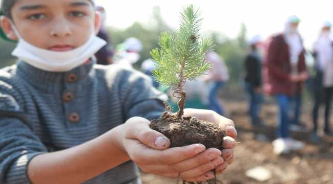 Hatay'da Suriyeli yetimler fidan dikti