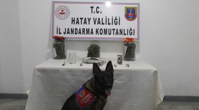 
Hatay'da uyuşturucu operasyonunda yakalanan zanlı tutuklandı