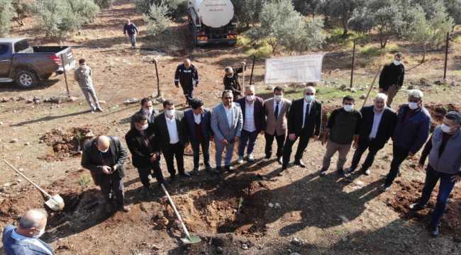 Hatay'da yanan orman alanları yeniden yeşillendiriliyor