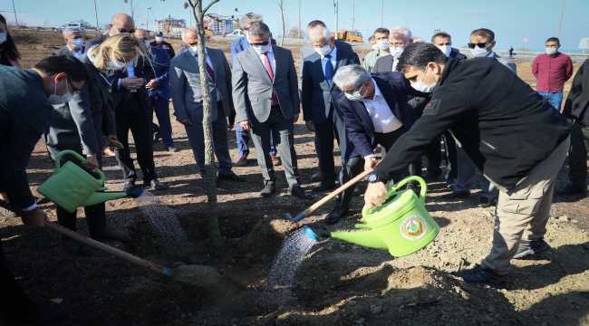 Hatay'da yanan ormanlık alanlara mabet ağacı dikildi