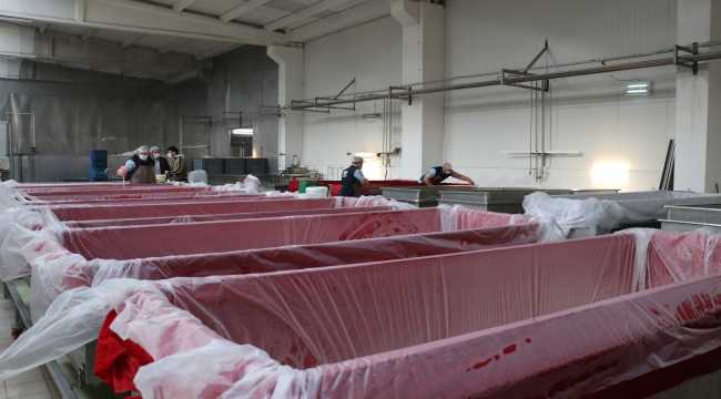 Hatay künefesinde kullanılan tuzsuz peynir Orta Doğu ülkelerine ihraç ediliyor