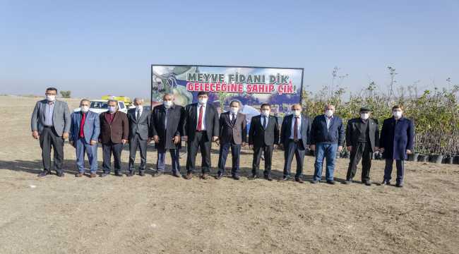 Kahramankazan'da 2 bin 400 meyve fidanı toprakla buluştu