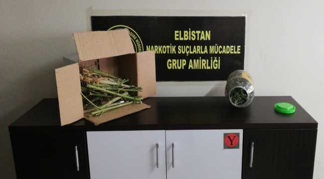 Kahramanmaraş'ta uyuşturucu operasyonu: 1 gözaltı