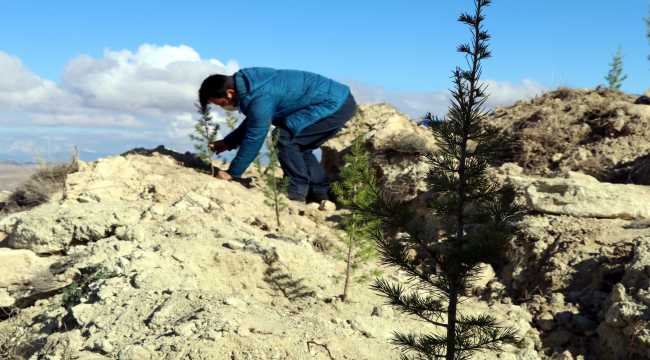 Karadeniz Bölgesi ve Çankırı'da 