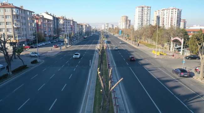 Kayseri Büyükşehir Belediyesinden ağaç bakım ve budama çalışması