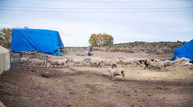 Kayseri Tarım ve Orman Müdürü Şahin'den hayvancılık işletmesine ziyaret