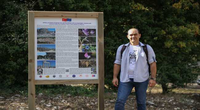 Termessos çiğdemi Koruma Altında