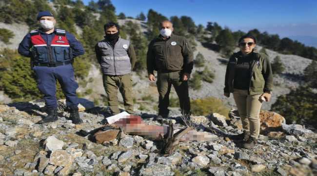 Mersin'de kaçak avlanan 5 kişiye 43 bin 483 lira ceza