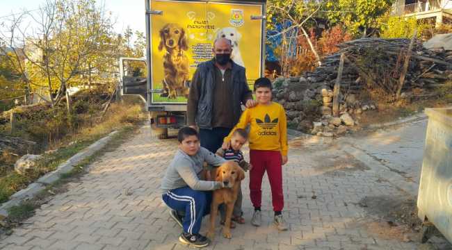 Mersin'de tüfekle vurularak yaralanan köpek tedavi edildi