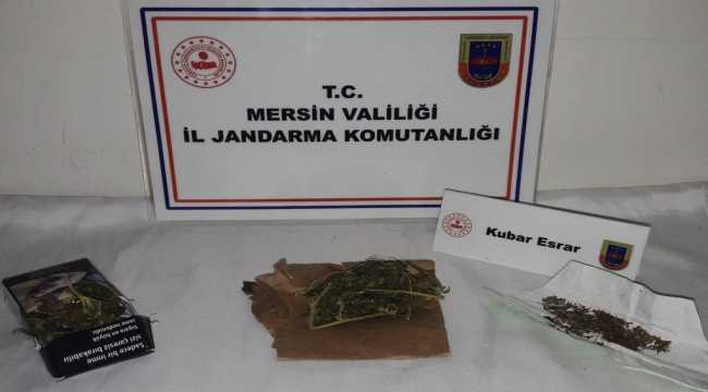 Mersin'de uyuşturucu operasyonunda 2 kişi yakalandı 
