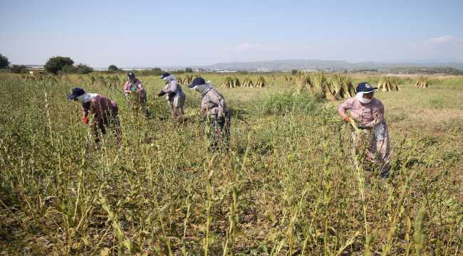 Osmanlı'da saray sofralarını süsleyen 