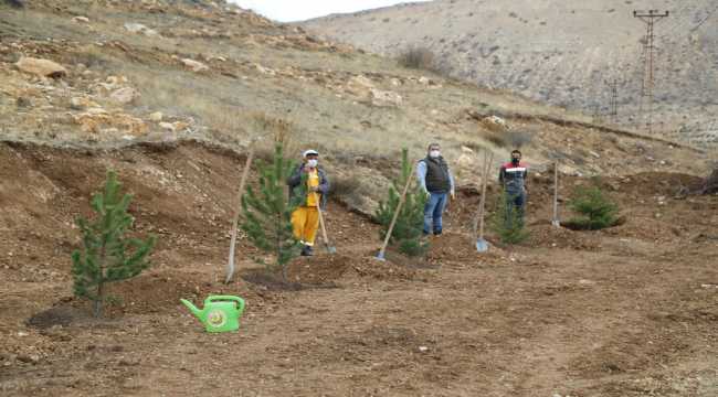 Sivas'ta, İzmir depreminin sembolü 3 yaşındaki Elif ve Ayda adına fidan dikildi
