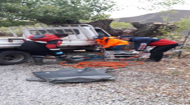 Sivas'ta kamyonet ağaca çarptı: 2 yaralı 