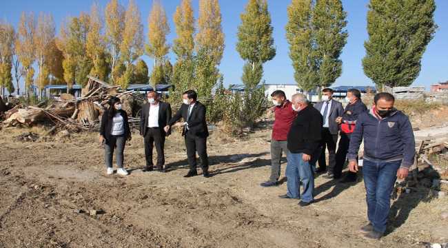 Belediye binası yanındaki araziye lavanta ekilecek