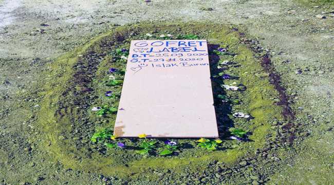 Yaşamını yitiren köpek yavrusu 