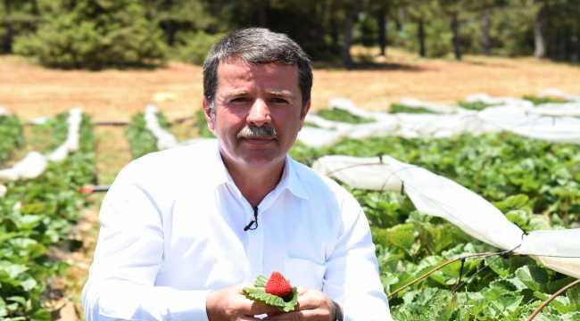 Yoğunoluk Yaylası, doğa turizminin gözdesi olma yolunda ilerliyor