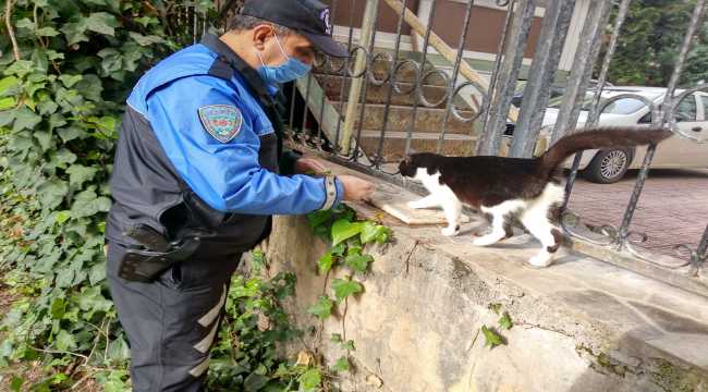 Polislerden sokak hayvanlarına mama