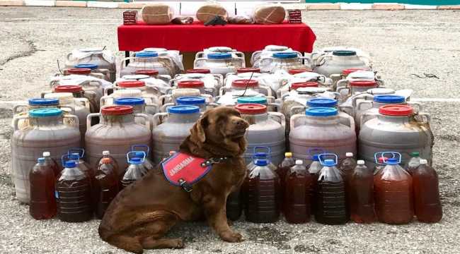 Aksaray'da 2 bin 810 litre kaçak şarap ele geçirildi